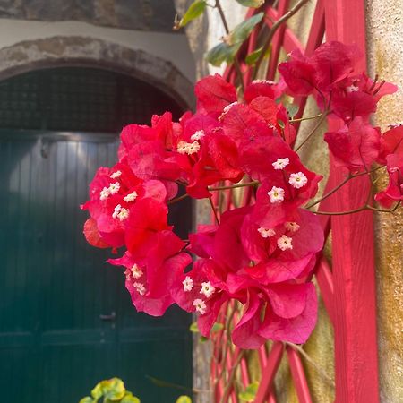 蓬塔德尔加达Casa De Santa Margarida别墅 外观 照片